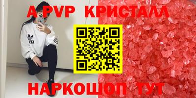 стафф Обнинск
