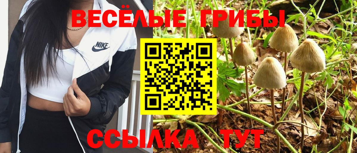 Галлюциногенные грибы Magic Shrooms  Вход с VPN  Ульяновск 